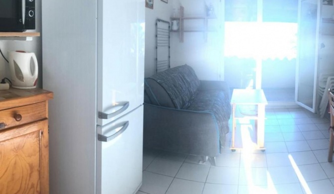 Appartement Argelès-sur-Mer, 1 pièce, 4 personnes - FR-1-388-45