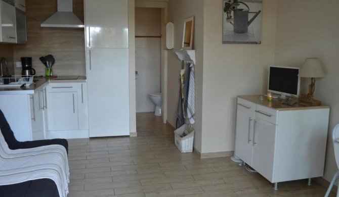 Appartement Argelès-sur-Mer, 1 pièce, 2 personnes - FR-1-225-661