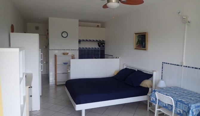 Studio Balaruc-les-Bains, 1 pièce, 2 personnes - FR-1-503-47