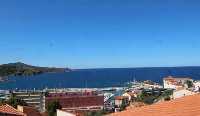 Appartement Banyuls-sur-Mer, 2 pièces, 4 personnes - FR-1-309-53