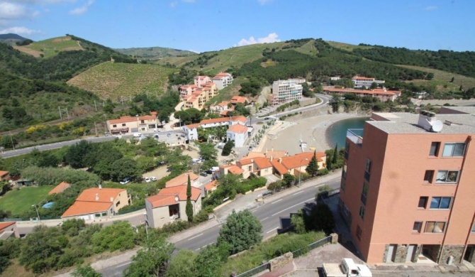 Appartement Banyuls-sur-Mer, 2 pièces, 4 personnes - FR-1-309-166