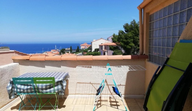 Studio Banyuls-sur-Mer, 1 pièce, 2 personnes - FR-1-309-140