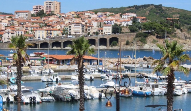 Appartement Banyuls-sur-Mer, 2 pièces, 4 personnes - FR-1-309-167