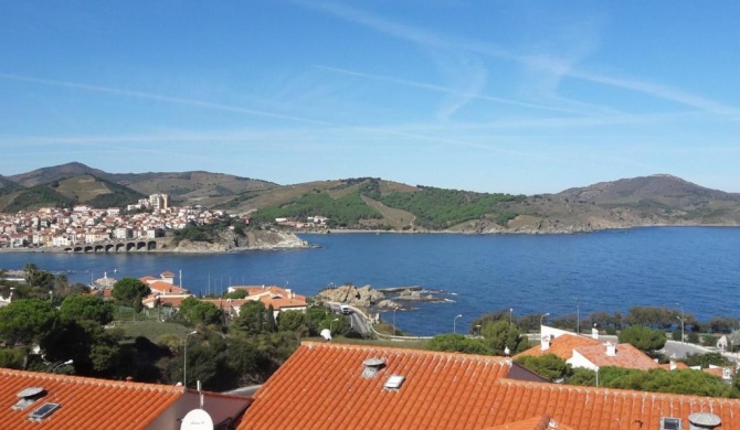 Appartement Banyuls-sur-Mer, 2 pièces, 4 personnes - FR-1-225C-12