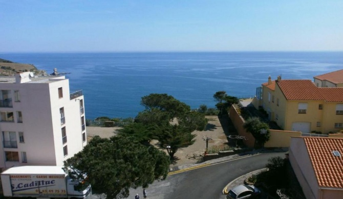 Appartement Banyuls-sur-Mer, 2 pièces, 4 personnes - FR-1-309-102