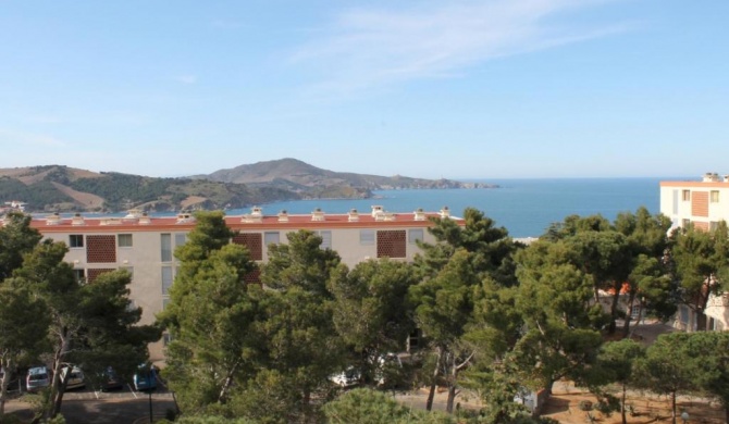 Appartement Banyuls-sur-Mer, 2 pièces, 4 personnes - FR-1-309-12