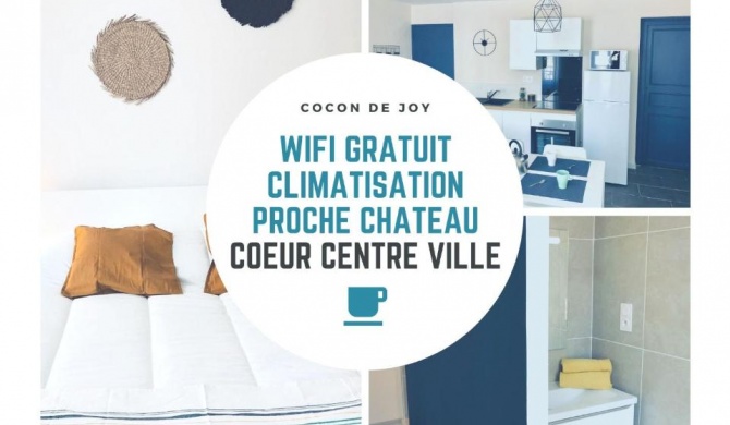 Spacieux, Climatisé, Quartier Calme, Proche Château, Le Cocon De Joy