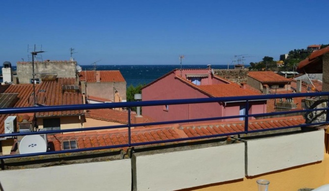 Appartement Collioure, 4 pièces, 5 personnes - FR-1-225-519