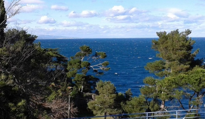 Studio a Collioure a 150 m de la plage avec vue sur la mer et balcon amenage