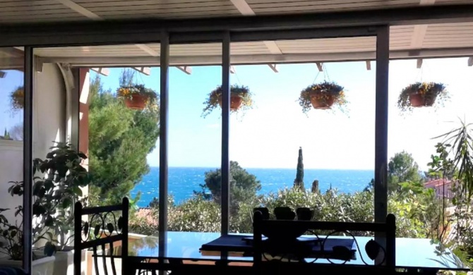 Studio a Collioure a 400 m de la plage avec vue sur la mer jardin clos et wifi