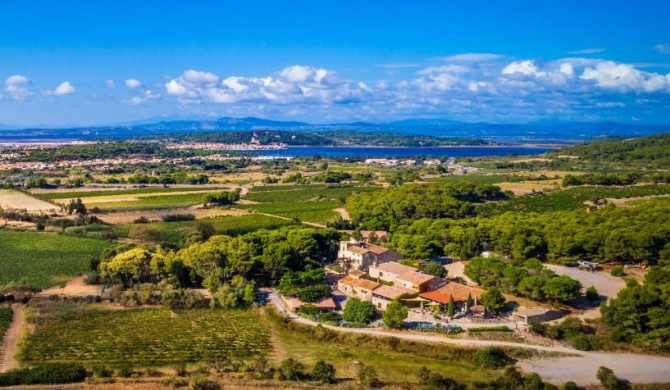 Château le Bouïs