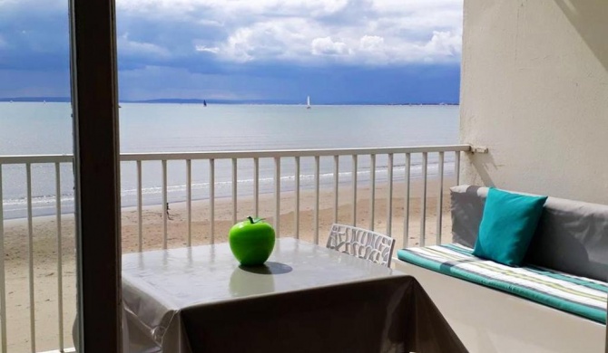 Appartement d'une chambre a Le Grau du Roi a 50 m de la plage avec vue sur la mer et terrasse amenagee