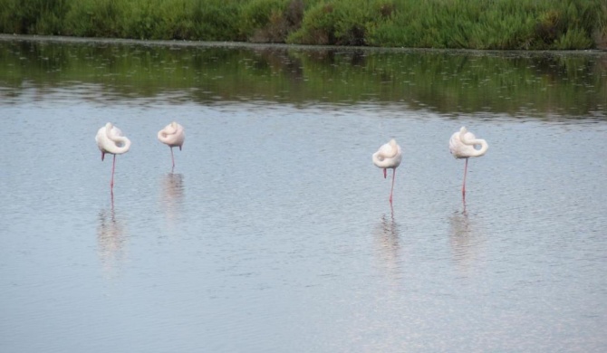 Le Clos Des Oiseaux